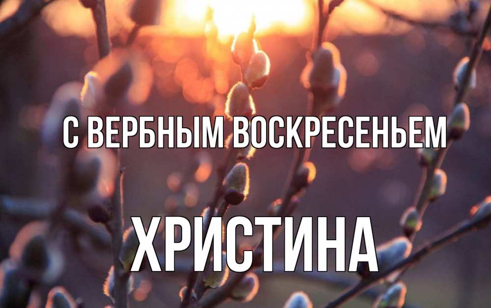 Открытка на каждый день с именем, Христина С вербным воскресеньем верба Прикольная открытка с пожеланием онлайн скачать бесплатно 