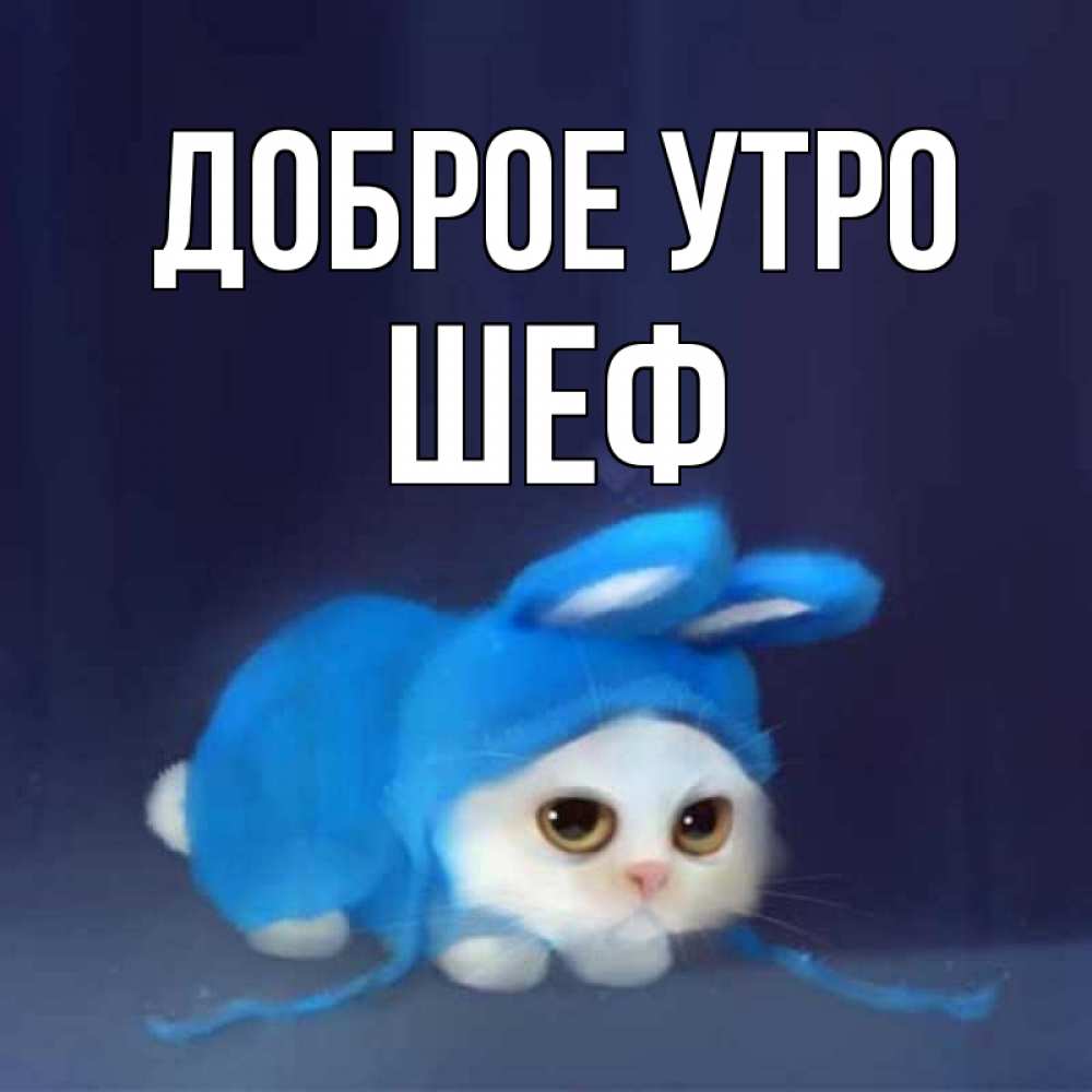 Открытка на каждый день с именем, Шеф Доброе утро открытки красивые скачать бесплатно Прикольная открытка с пожеланием онлайн скачать бесплатно 