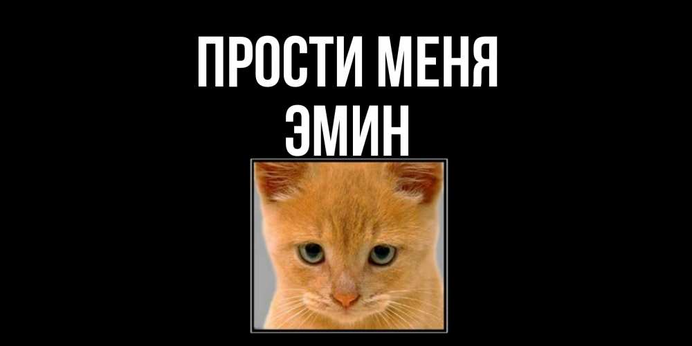Открытка на каждый день с именем, Эмин Прости меня рыжий грустный кот просит прощения Прикольная открытка с пожеланием онлайн скачать бесплатно 