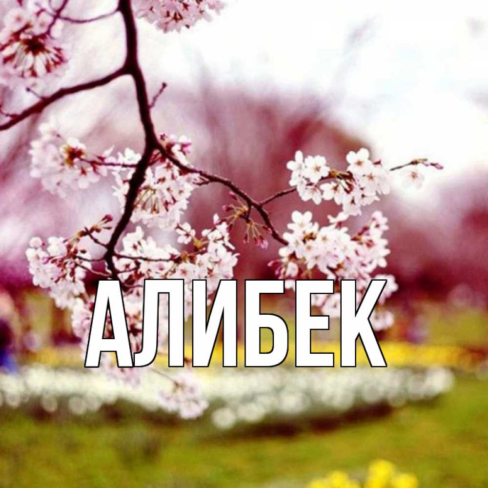 Открытка с именем, Алибек, 