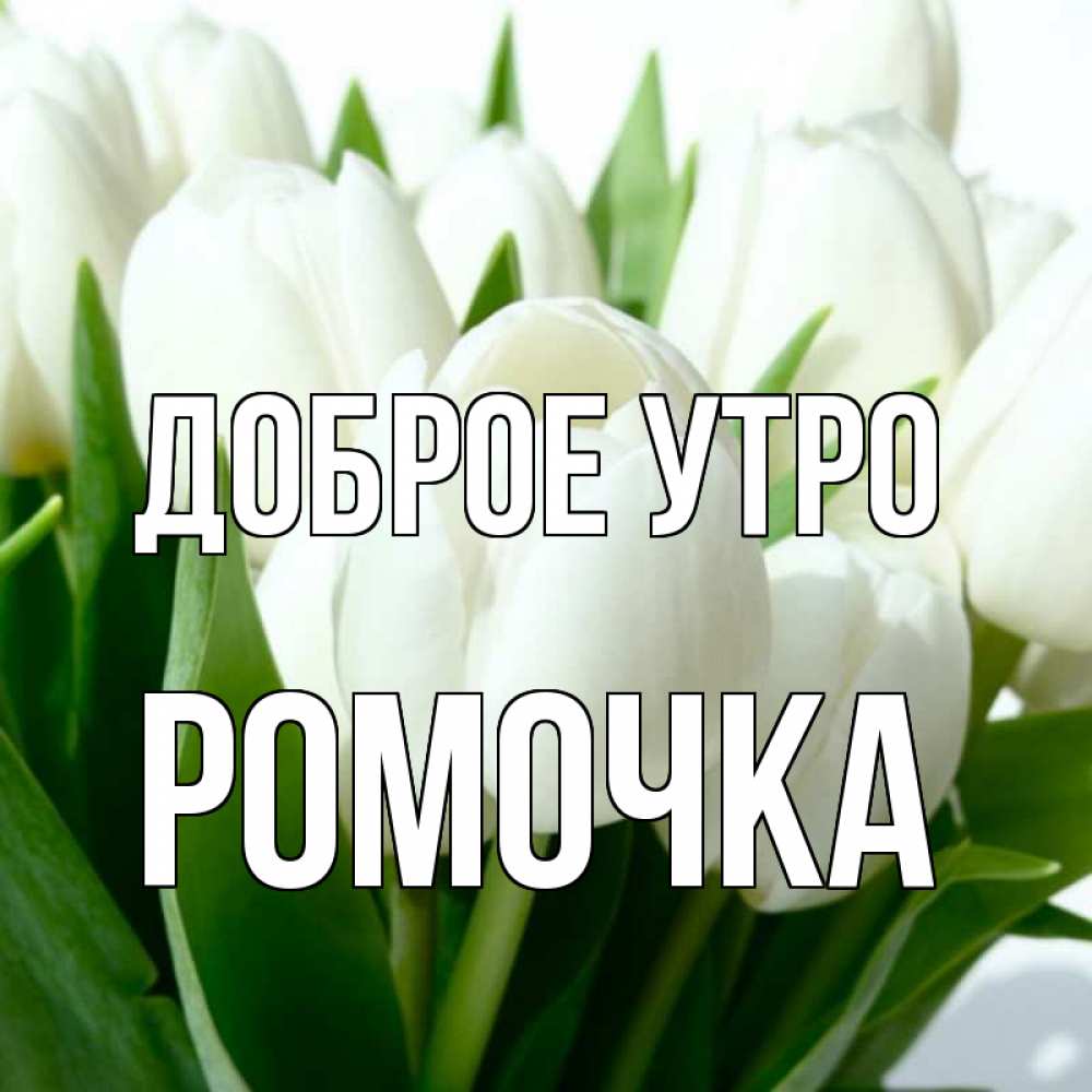 Открытка с именем, Ромочка, Доброе утро