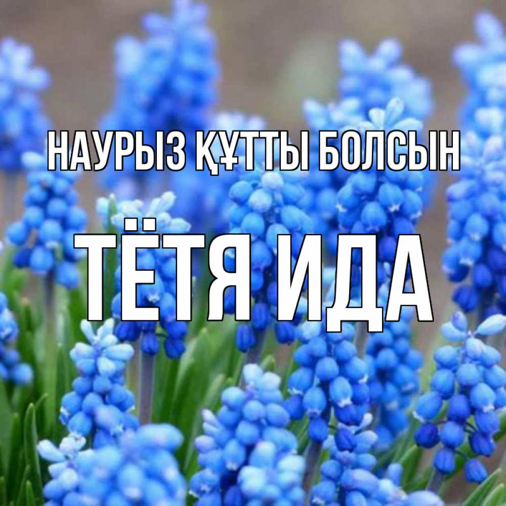 Открытка на каждый день с именем, Тётя-Ида Наурыз құтты болсын Поздравительная открытка для женщин с цветами на праздничную дату Прикольная открытка с пожеланием онлайн скачать бесплатно 