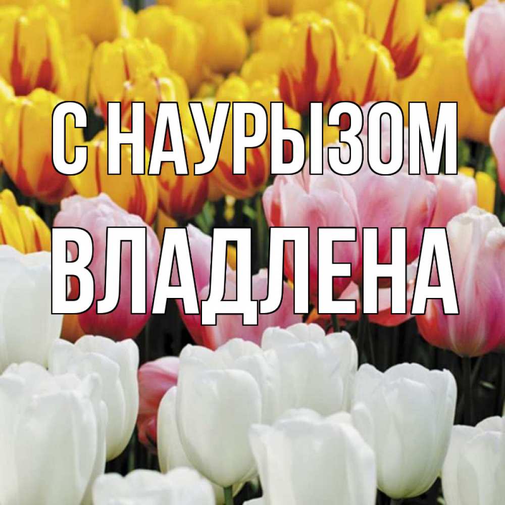 Открытка на каждый день с именем, Владлена С наурызом разноцветные цветы Прикольная открытка с пожеланием онлайн скачать бесплатно 