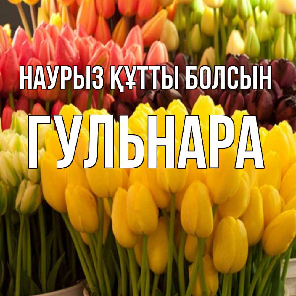 Открытка на каждый день с именем, Гульнара Наурыз құтты болсын цветы Прикольная открытка с пожеланием онлайн скачать бесплатно 