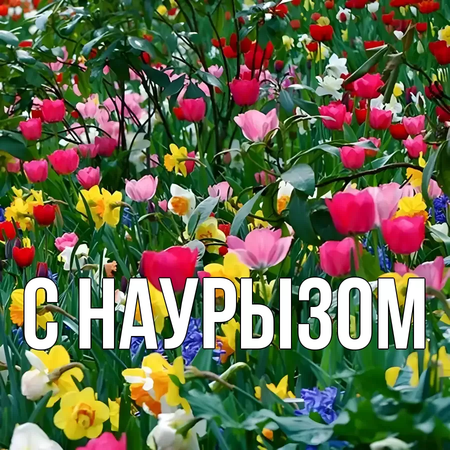 Картинка Наурыз құтты болсын, 