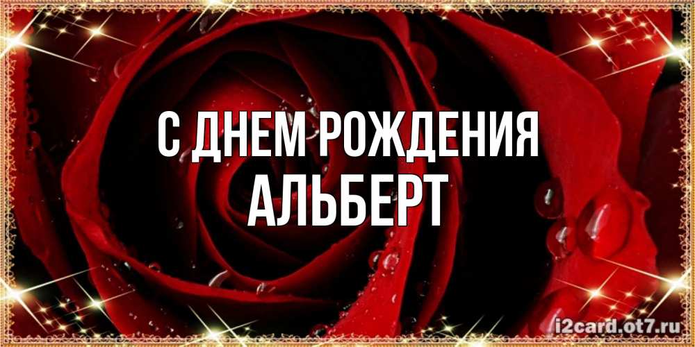 Открытка на каждый день с именем, Альберт С днем рождения цветок в росе на день рождения Прикольная открытка с пожеланием онлайн скачать бесплатно 