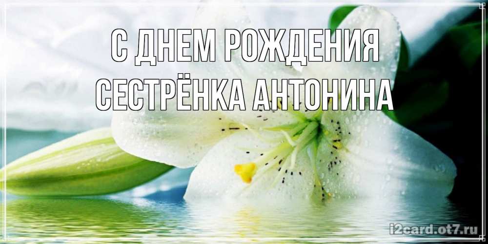 Открытка на каждый день с именем, Сестрёнка-Антонина С днем рождения лилия на открытке ко дню рождения Прикольная открытка с пожеланием онлайн скачать бесплатно 