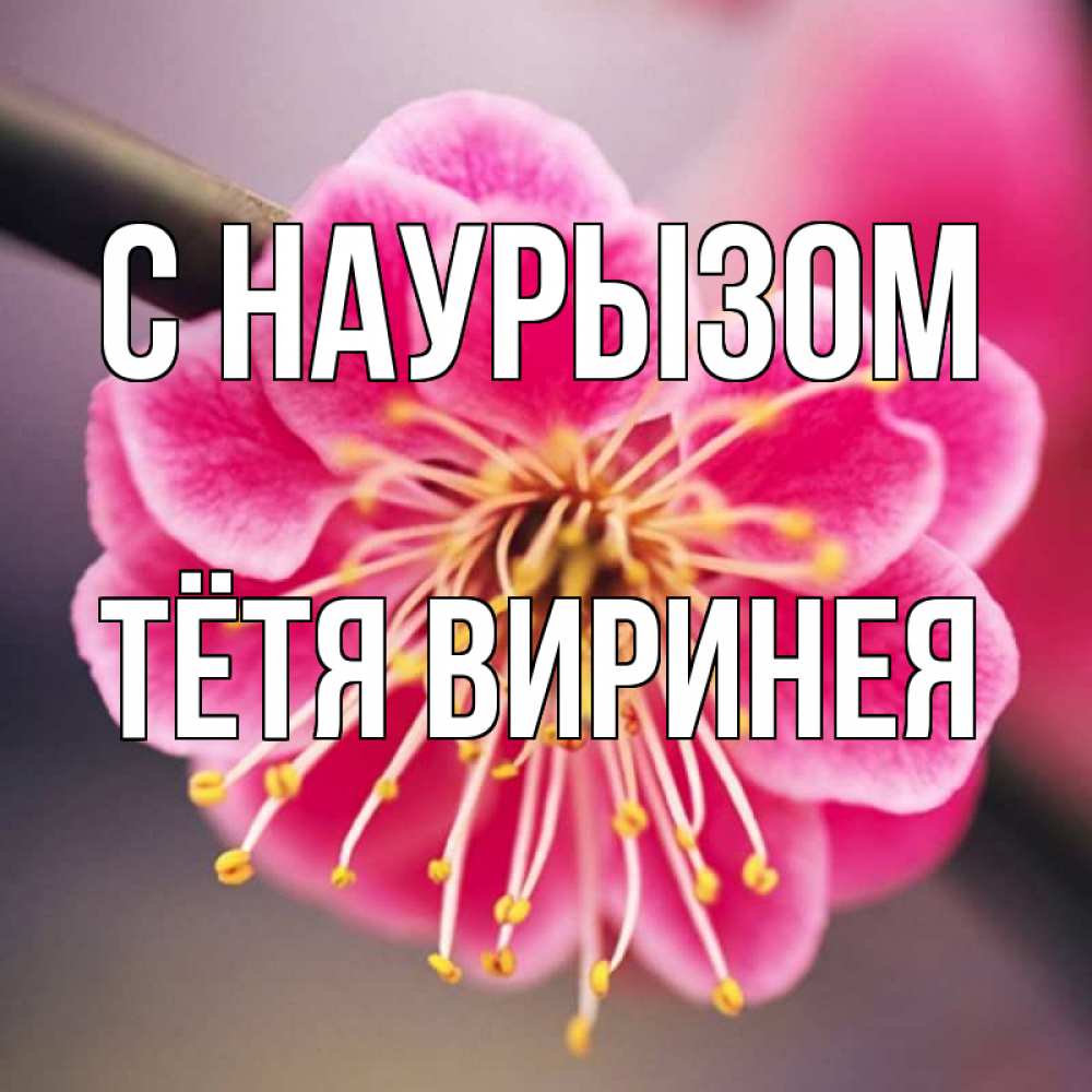 Открытка на каждый день с именем, Тётя-Виринея С наурызом цветы Прикольная открытка с пожеланием онлайн скачать бесплатно 