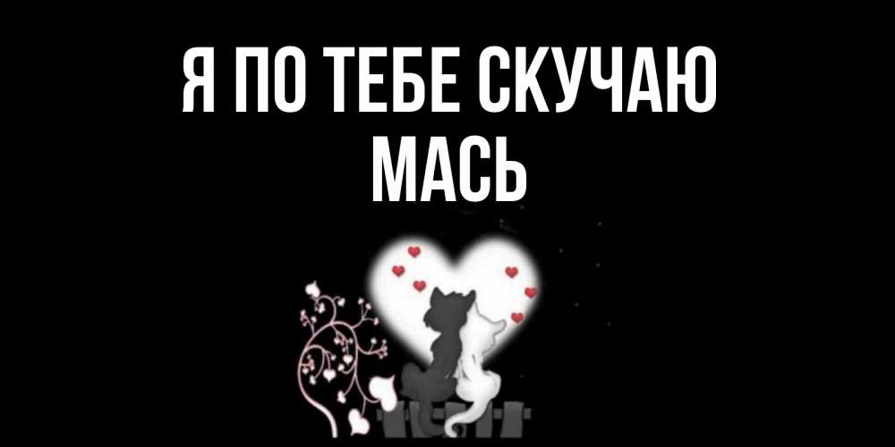 Открытка на каждый день с именем, Мась Я по тебе скучаю коты Прикольная открытка с пожеланием онлайн скачать бесплатно 