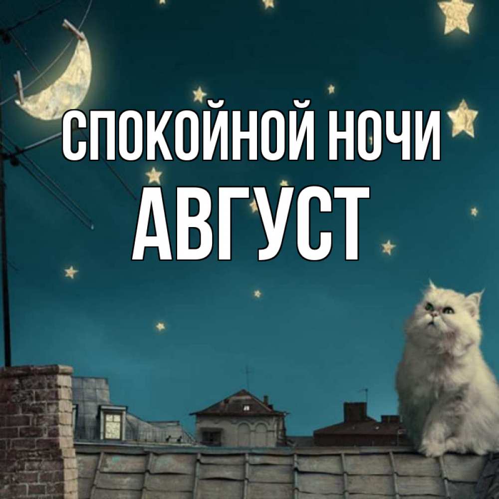 Открытка на каждый день с именем, Август Спокойной ночи белый кот сидит на крыше Прикольная открытка с пожеланием онлайн скачать бесплатно 