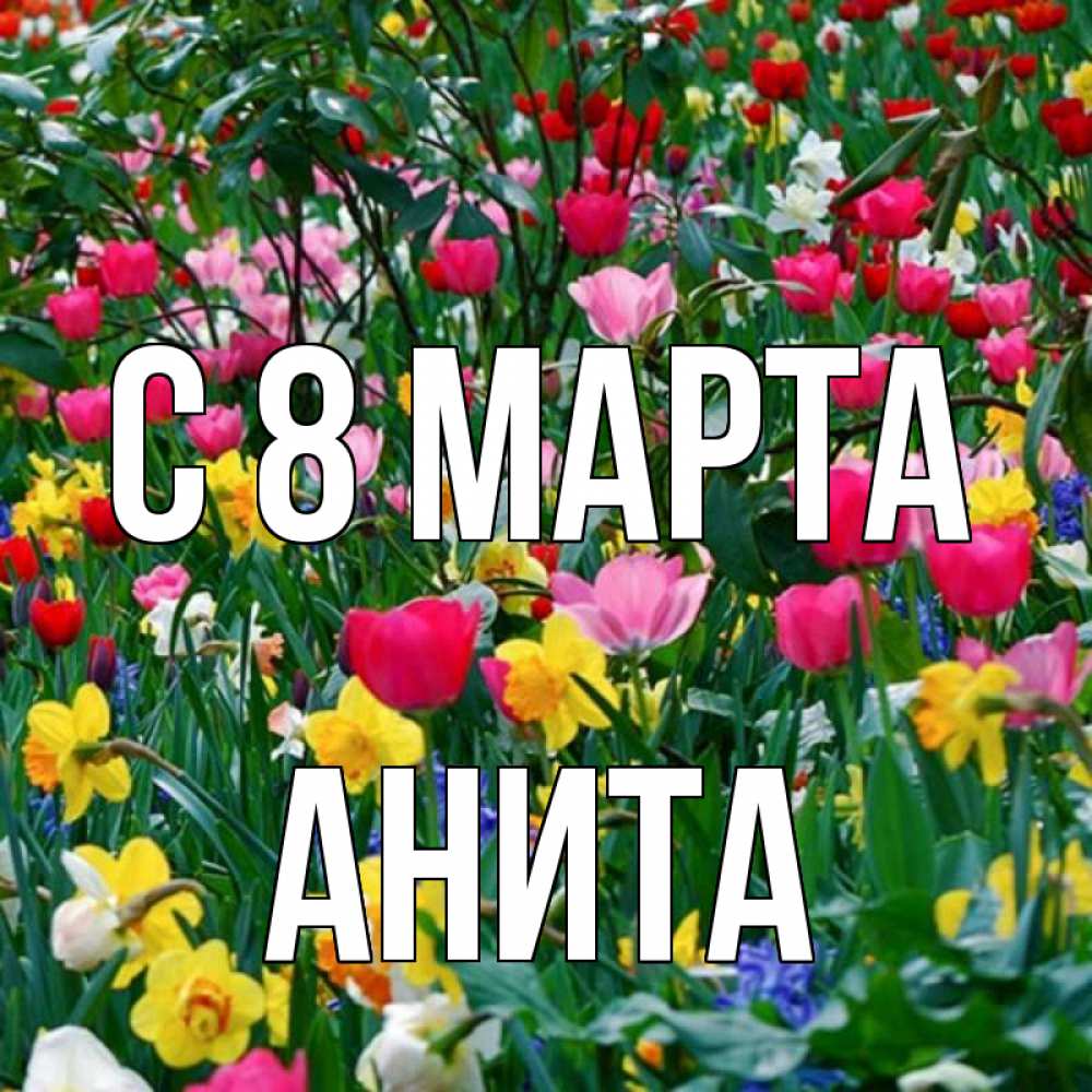 Открытка на каждый день с именем, Анита С 8 марта с международным женским днем поздравления для женщины Прикольная открытка с пожеланием онлайн скачать бесплатно 
