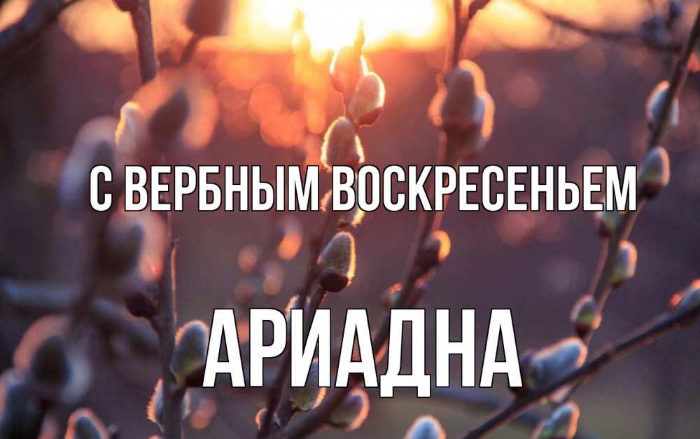 Открытка на каждый день с именем, Ариадна С вербным воскресеньем верба Прикольная открытка с пожеланием онлайн скачать бесплатно 