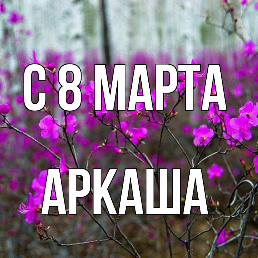 Открытка на каждый день с именем, Аркаша С 8 МАРТА дикие цветы Прикольная открытка с пожеланием онлайн скачать бесплатно 
