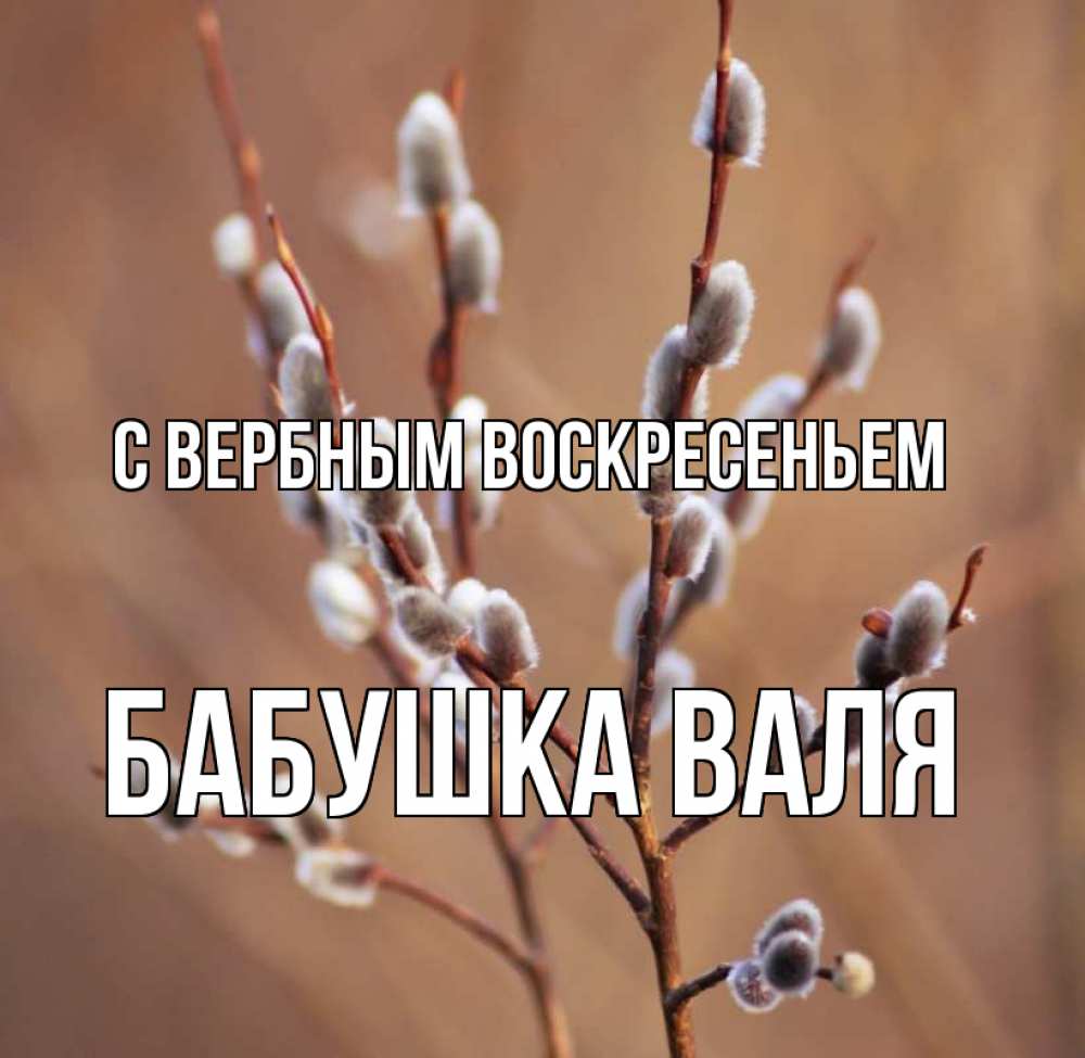 Открытка на каждый день с именем, Бабушка-Валя С вербным воскресеньем верба Прикольная открытка с пожеланием онлайн скачать бесплатно 
