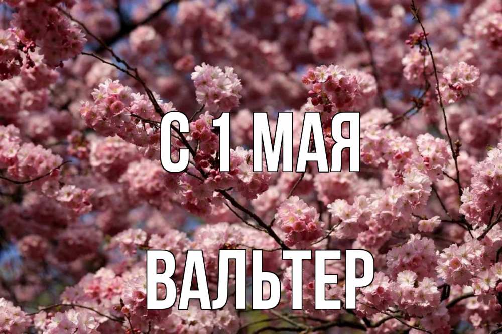 Открытка на каждый день с именем, Вальтер С 1 мая С 1 мая Прикольная открытка с пожеланием онлайн скачать бесплатно 