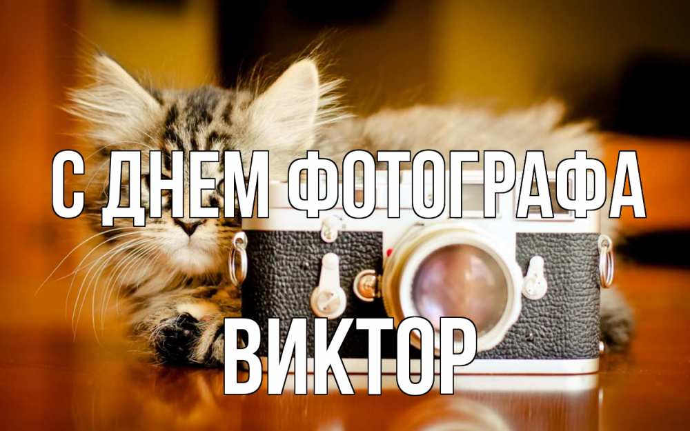 Открытка на каждый день с именем, Виктор С днем фотографа с днем фотографа Прикольная открытка с пожеланием онлайн скачать бесплатно 
