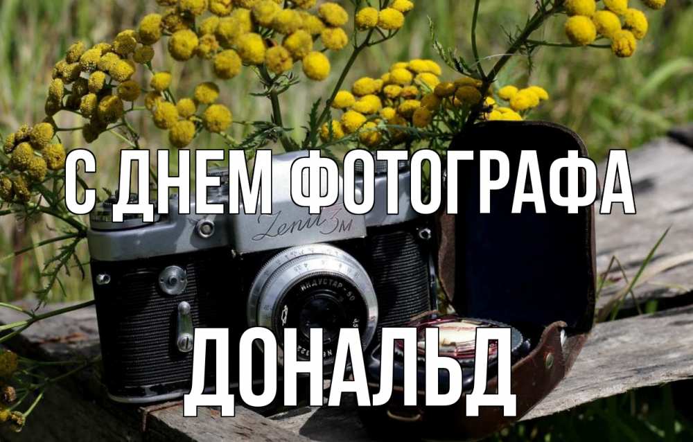 Открытка на каждый день с именем, Дональд С днем фотографа с днем фотографа Прикольная открытка с пожеланием онлайн скачать бесплатно 