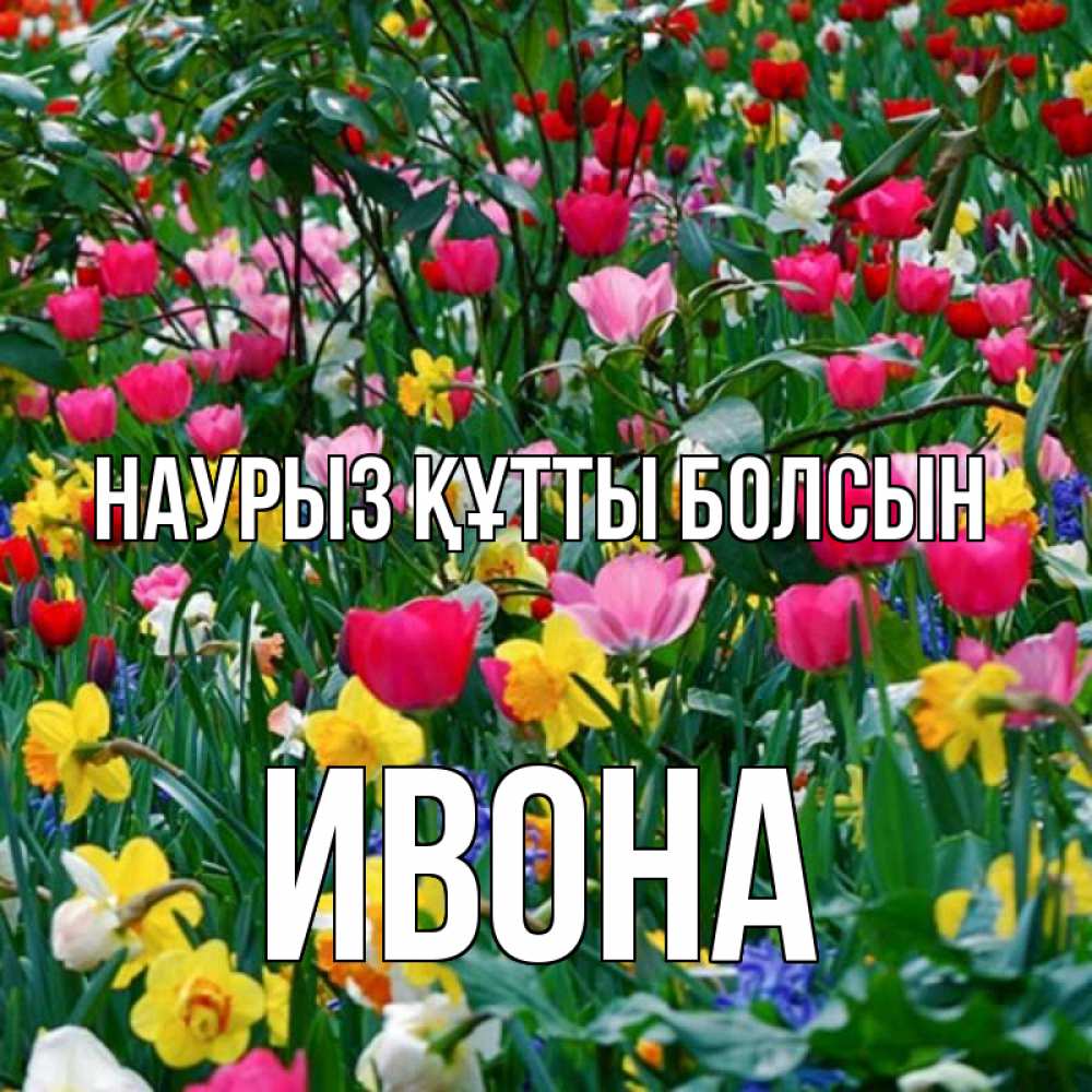 Открытка на каждый день с именем, Ивона Наурыз құтты болсын с наурызом поздравления для женщины Прикольная открытка с пожеланием онлайн скачать бесплатно 