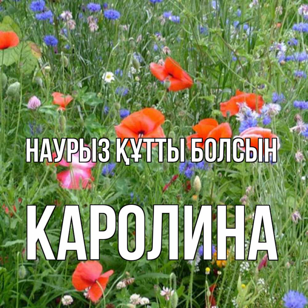 Открытка на каждый день с именем, Каролина Наурыз құтты болсын наурыз  4 Прикольная открытка с пожеланием онлайн скачать бесплатно 