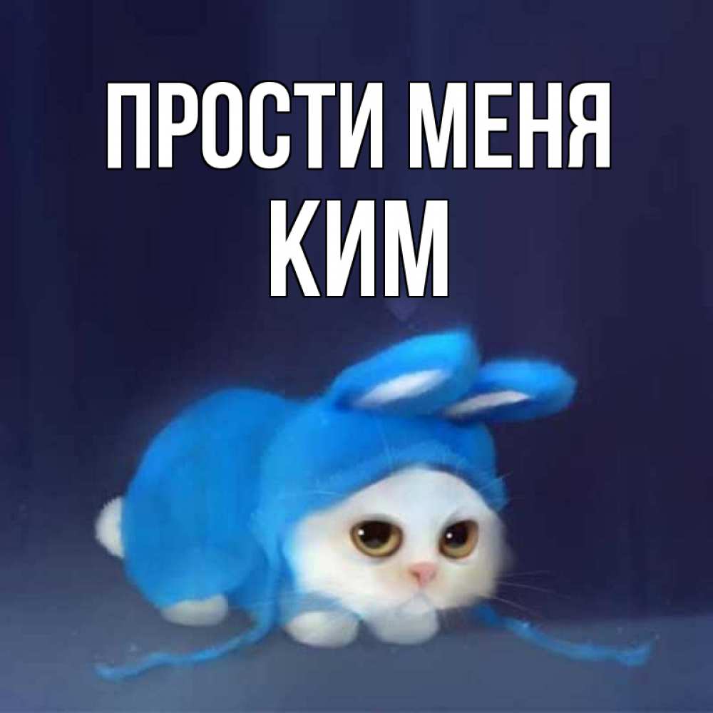 Открытка на каждый день с именем, Ким Прости меня невинный котозай просит прощения Прикольная открытка с пожеланием онлайн скачать бесплатно 