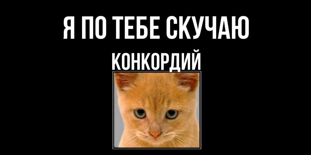 Открытка на каждый день с именем, Конкордий Я по тебе скучаю открытки рыжий котенок скучает по тебе Прикольная открытка с пожеланием онлайн скачать бесплатно 