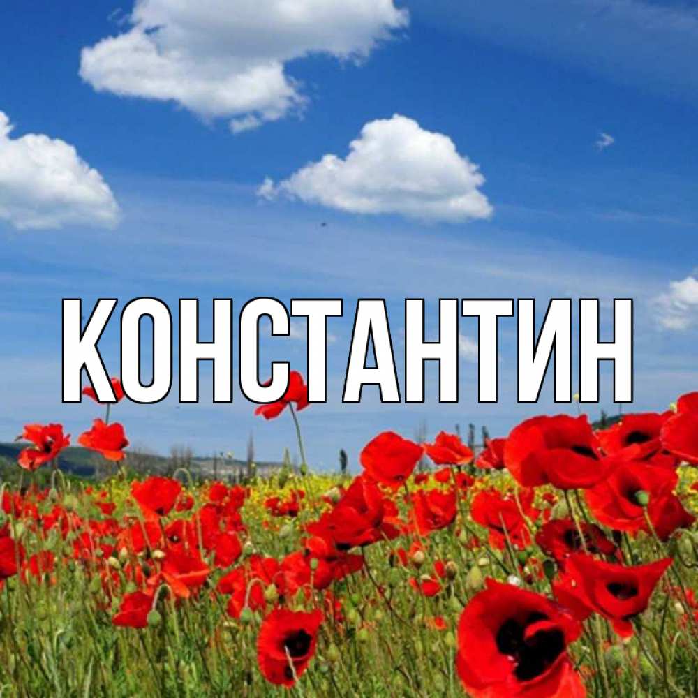 Открытка на каждый день с именем, Константин Главная международный женский день 1 Прикольная открытка с пожеланием онлайн скачать бесплатно 