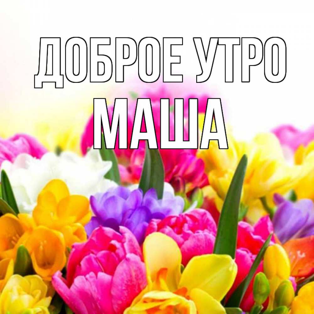 Открытка на каждый день с именем, МАША Доброе утро создать открытку со свое подписью Прикольная открытка с пожеланием онлайн скачать бесплатно 