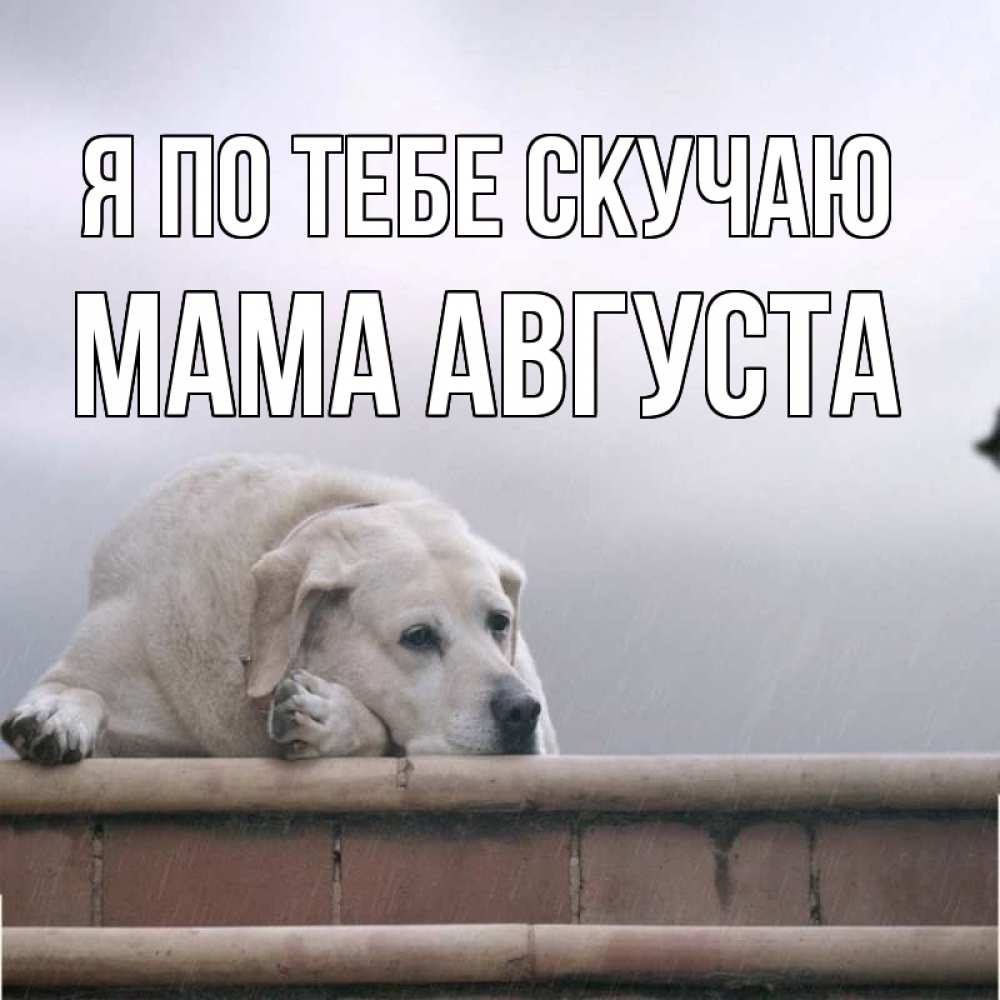 Открытка на каждый день с именем, Мама-Августа Я по тебе скучаю ждет Прикольная открытка с пожеланием онлайн скачать бесплатно 