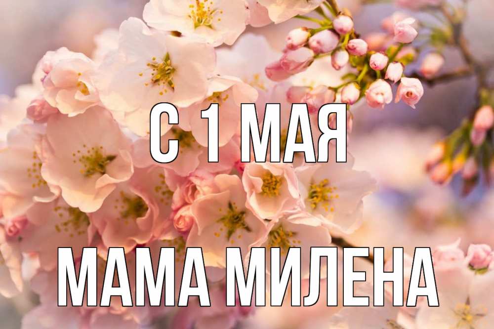 Открытка на каждый день с именем, Мама-Милена С 1 мая С 1 мая Прикольная открытка с пожеланием онлайн скачать бесплатно 