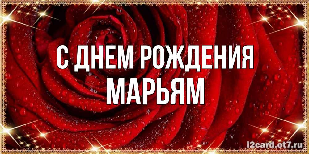 Открытка на каждый день с именем, Марьям С днем рождения роса на розе блестящая в лучах солнца Прикольная открытка с пожеланием онлайн скачать бесплатно 