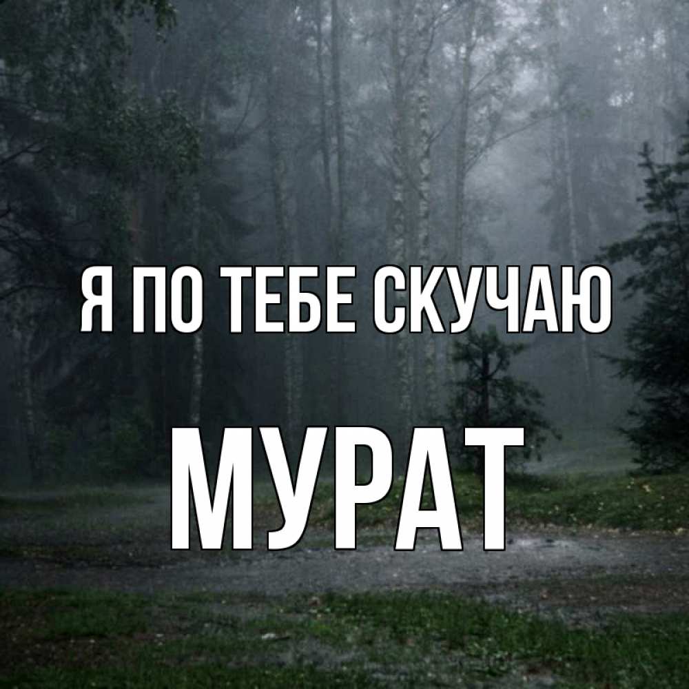 Открытка на каждый день с именем, Мурат Я по тебе скучаю одна и плохо мне Прикольная открытка с пожеланием онлайн скачать бесплатно 