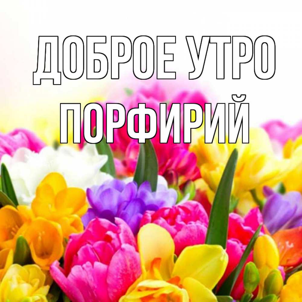 Открытка на каждый день с именем, Порфирий Доброе утро создать открытку со свое подписью Прикольная открытка с пожеланием онлайн скачать бесплатно 