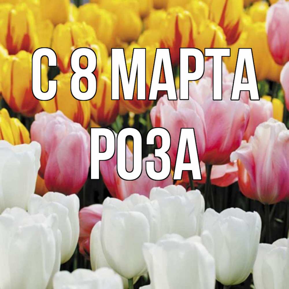 Открытка на каждый день с именем, Роза С 8 марта разноцветные цветы Прикольная открытка с пожеланием онлайн скачать бесплатно 