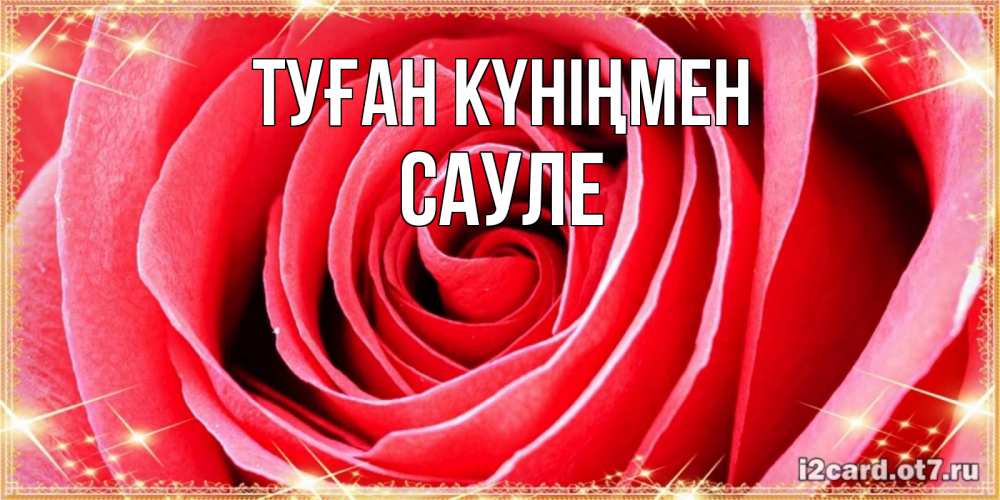 Открытка на каждый день с именем, Сауле Туған күніңмен розовая роза очень крупный бутон Прикольная открытка с пожеланием онлайн скачать бесплатно 