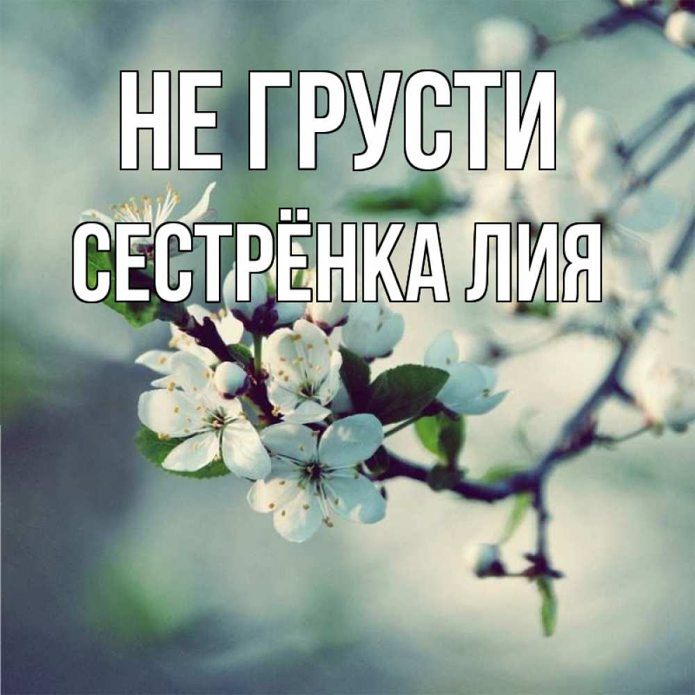 Открытка на каждый день с именем, Сестрёнка-Лия Не грусти яблоня в цвету 1 Прикольная открытка с пожеланием онлайн скачать бесплатно 