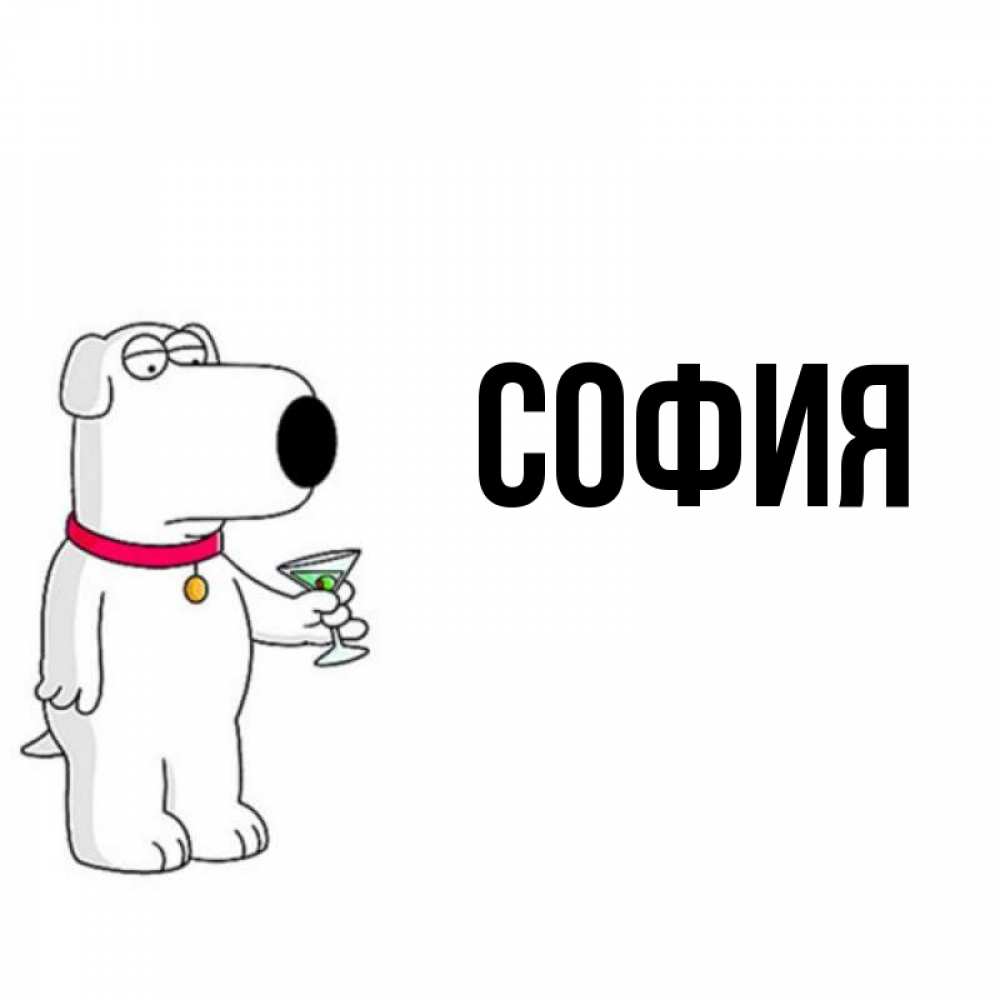 Открытка на каждый день с именем, София Главная песик с оливками Прикольная открытка с пожеланием онлайн скачать бесплатно 