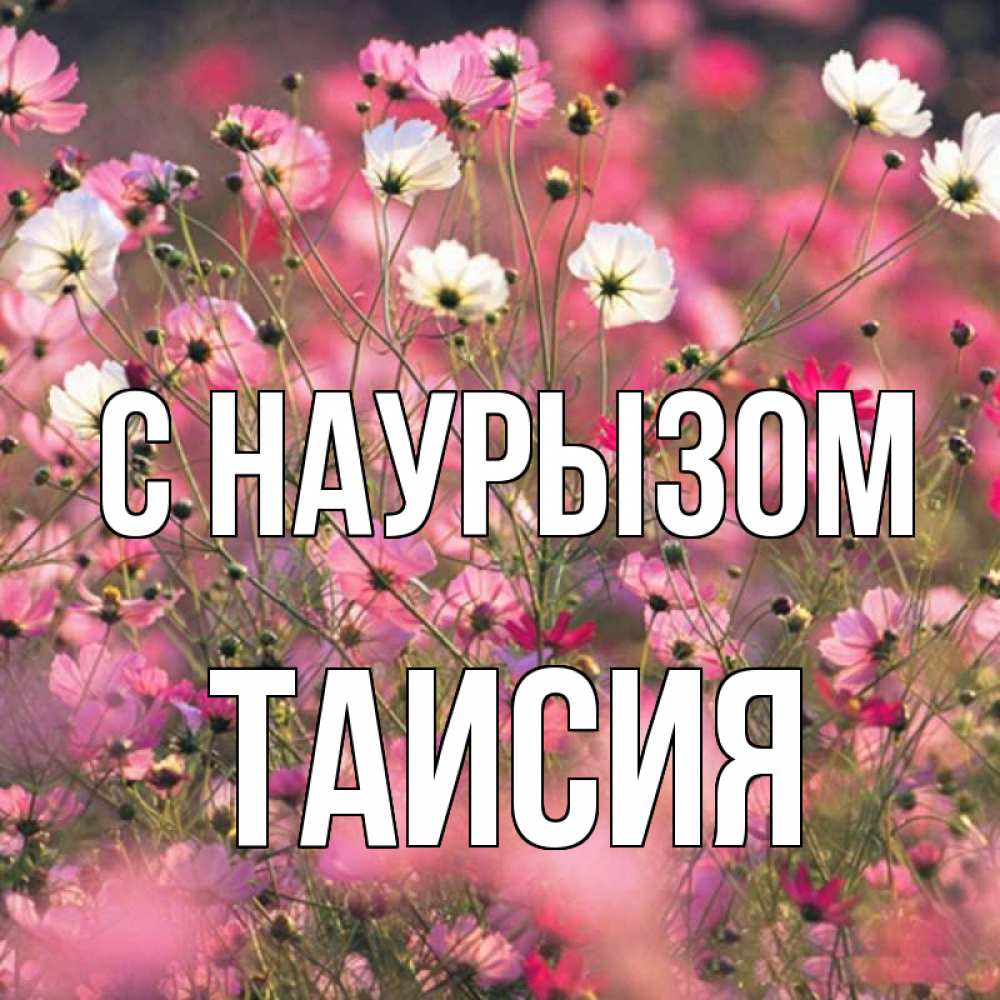 Открытка на каждый день с именем, Таисия С наурызом красиво 1 Прикольная открытка с пожеланием онлайн скачать бесплатно 