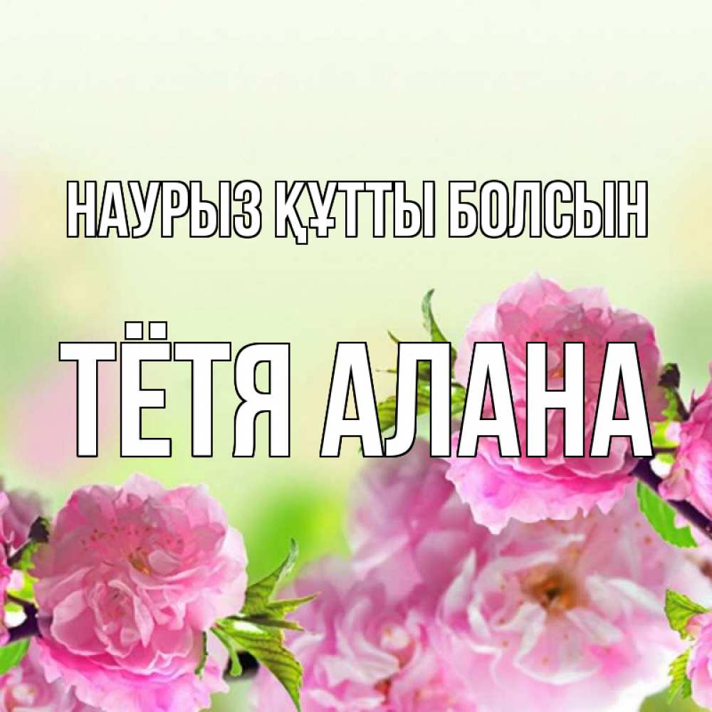 Открытка на каждый день с именем, Тётя-Алана Наурыз құтты болсын цветы Прикольная открытка с пожеланием онлайн скачать бесплатно 