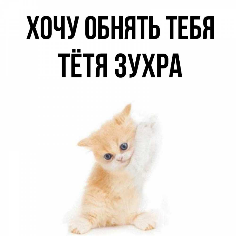 Открытка на каждый день с именем, Тётя-Зухра Хочу обнять тебя я хочу очень скорее обнимаешек Прикольная открытка с пожеланием онлайн скачать бесплатно 