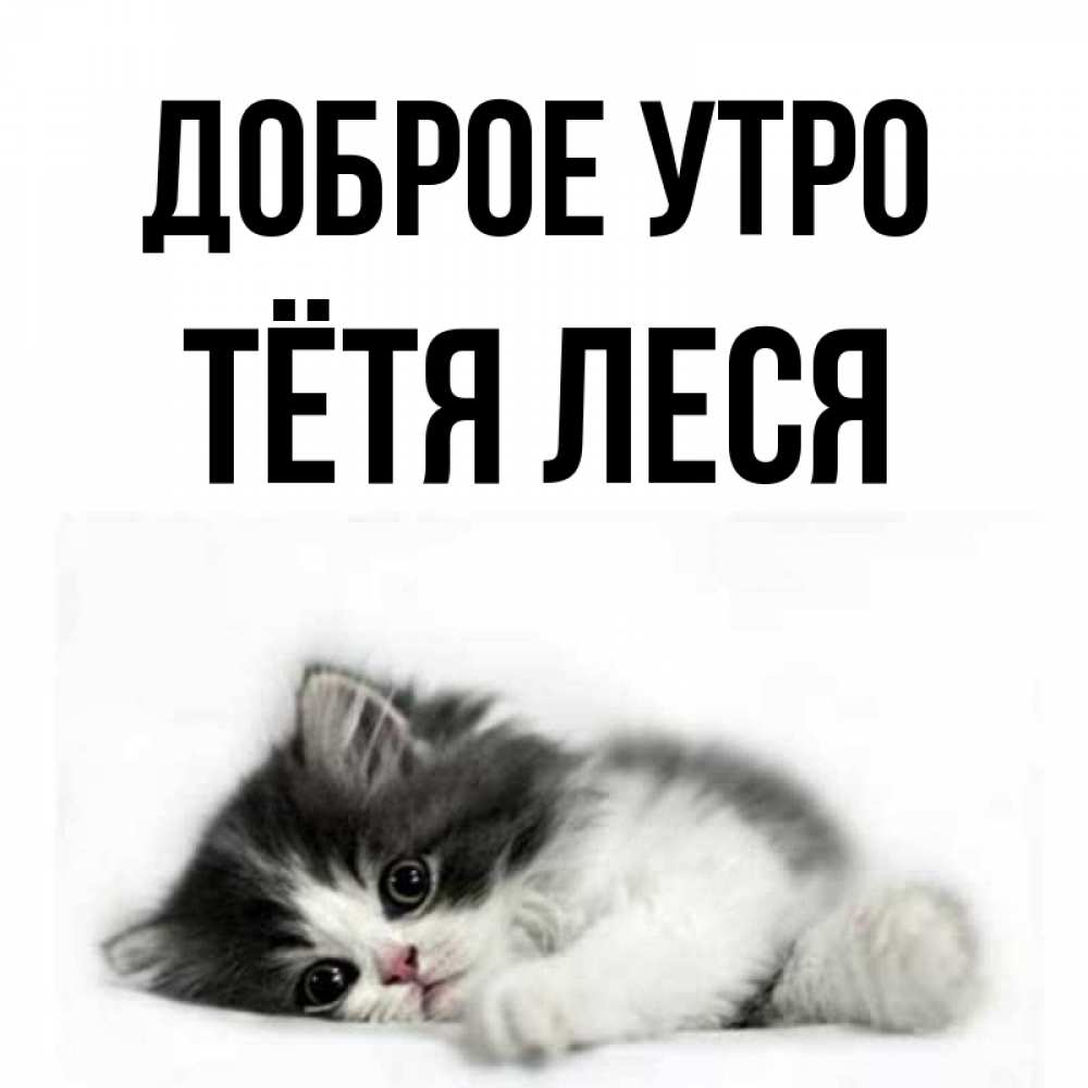 Открытка на каждый день с именем, Тётя-Леся Доброе утро кот лапки Прикольная открытка с пожеланием онлайн скачать бесплатно 