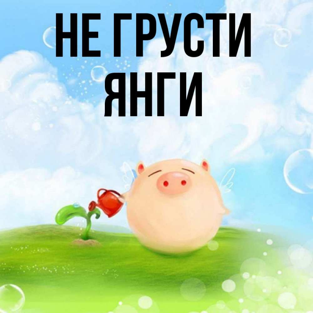 Имя янг