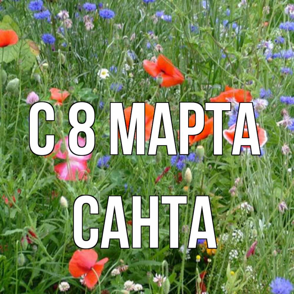 Картинка С 8 марта, Санта