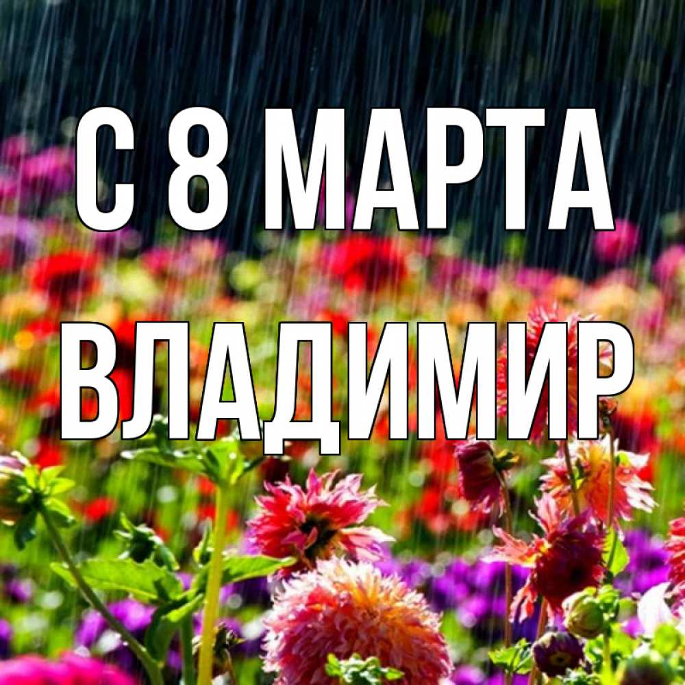 Открытка на каждый день с именем, Владимир С 8 МАРТА цветы под дождиком к международному женскому дню Прикольная открытка с пожеланием онлайн скачать бесплатно 