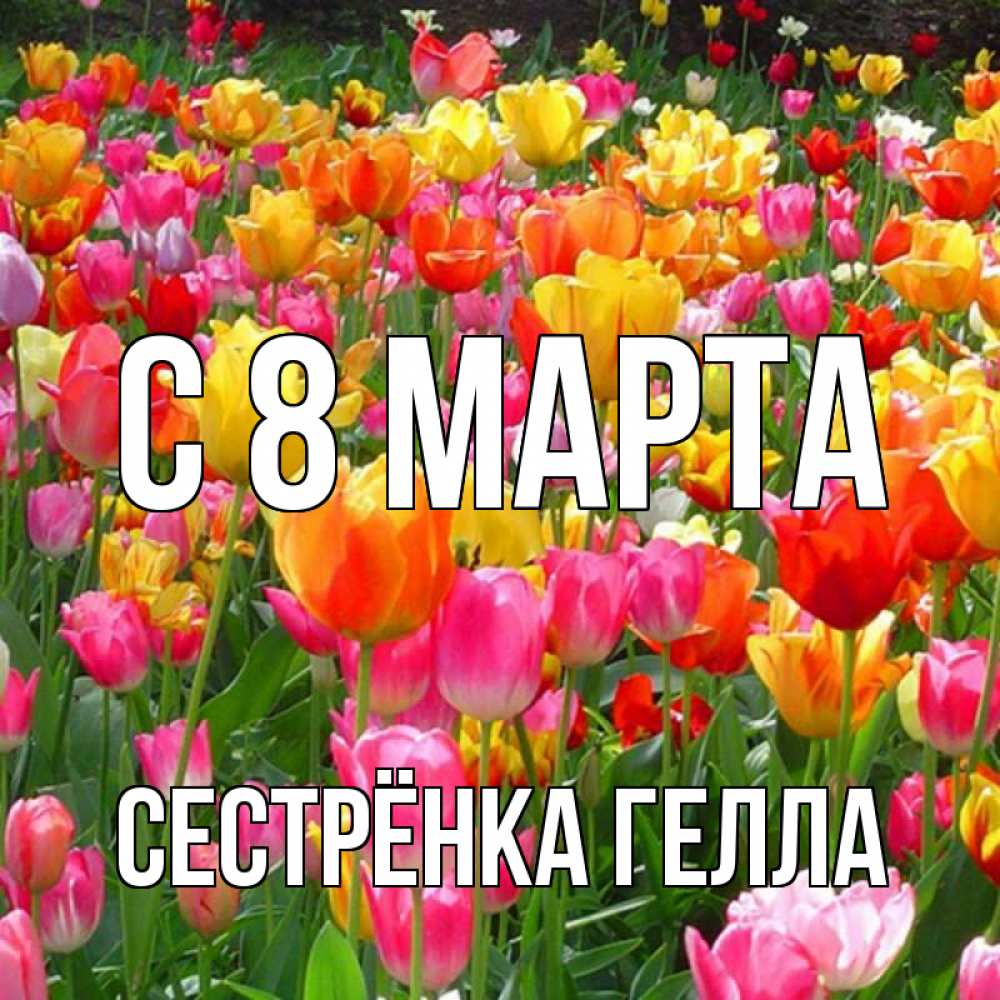 Картинка С 8 МАРТА, Сестрёнка Гелла