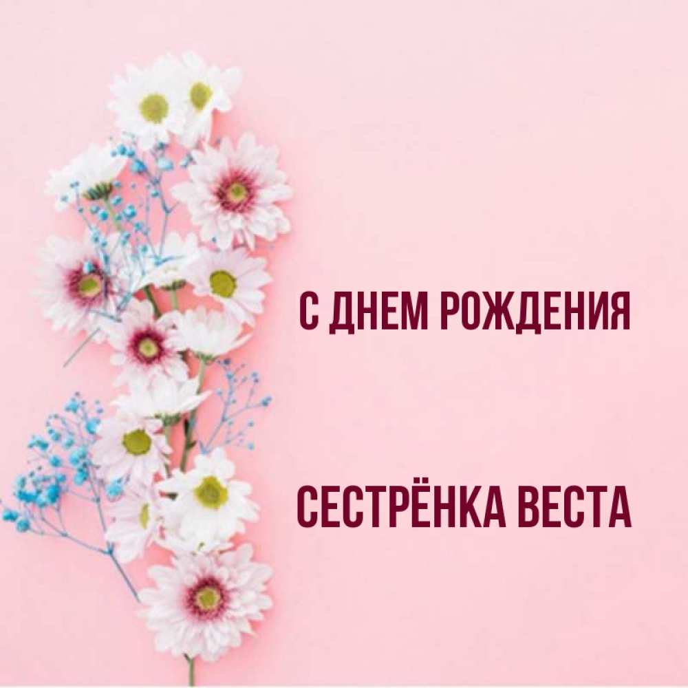 Открытка на каждый день с именем, Сестрёнка-Веста С днем рождения Родная моя с днем рождения тебя картинка с цветами белыми и голубыми Прикольная открытка с пожеланием онлайн скачать бесплатно 