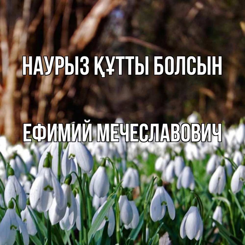 Картинка Наурыз құтты болсын, Ефимий Мечеславович