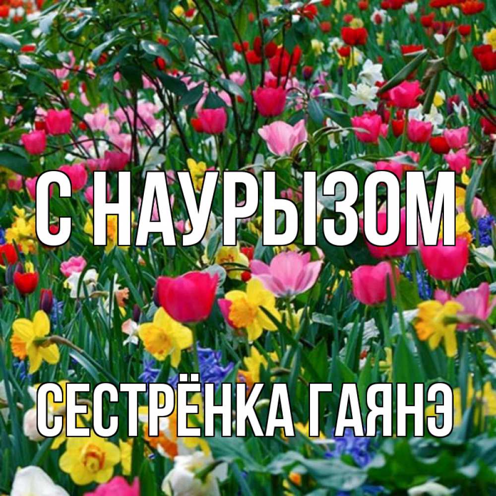Открытка на каждый день с именем, Сестрёнка-Гаянэ С наурызом с наурызом праздником весны поздравления для женщины Прикольная открытка с пожеланием онлайн скачать бесплатно 