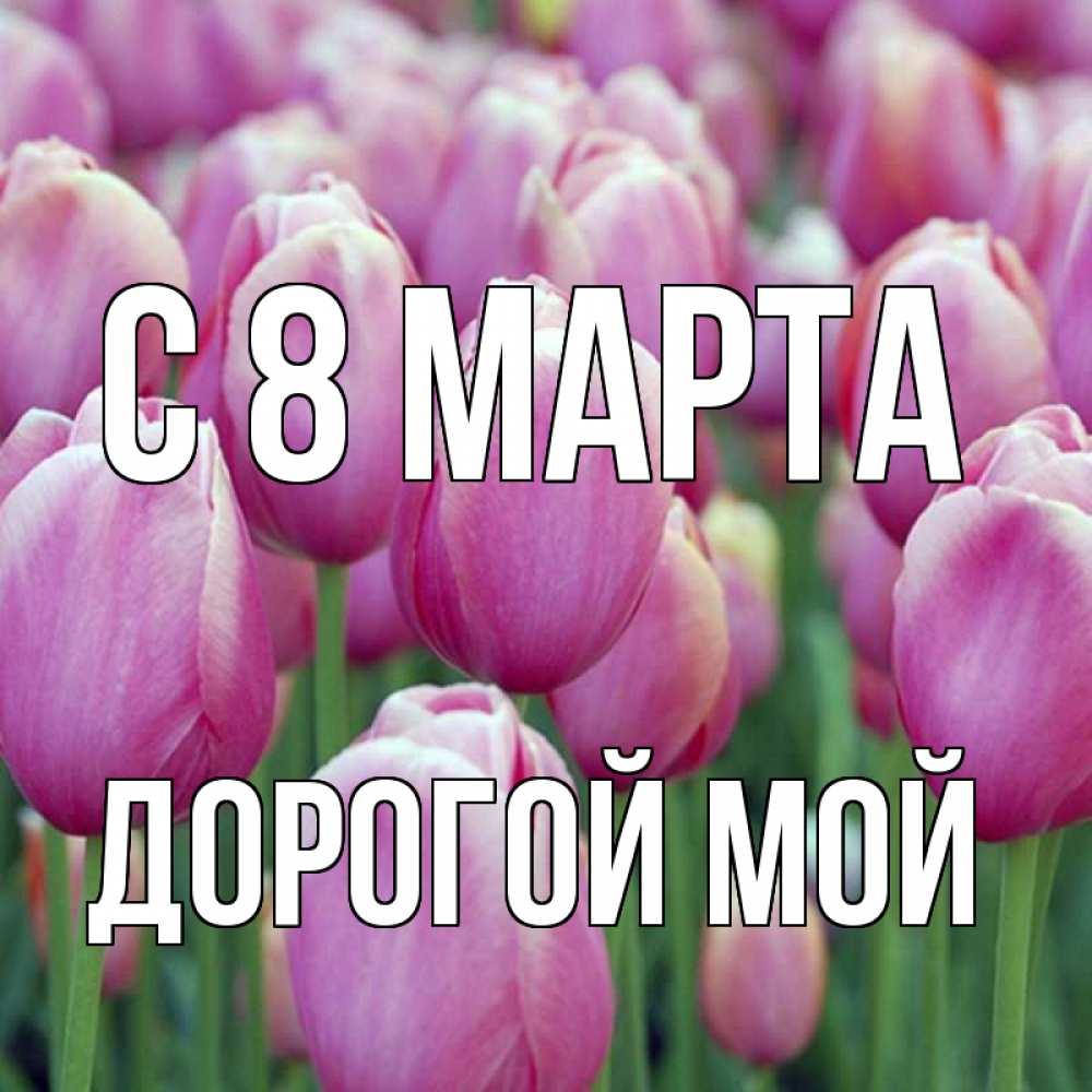 Открытка на каждый день с именем, Дорогой-мой С 8 МАРТА на международный женский день 3 Прикольная открытка с пожеланием онлайн скачать бесплатно 