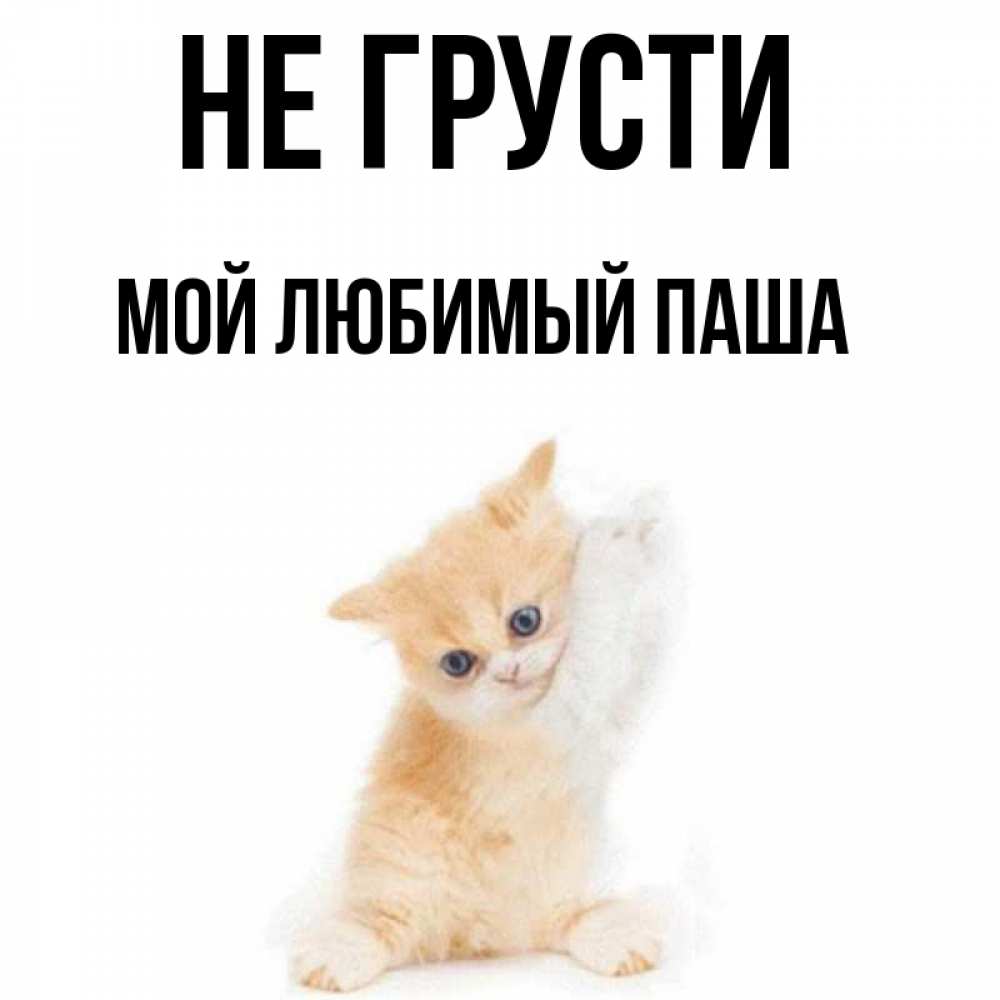 Не грусти мой любимый. Мой котя картинка. Не грусти плюшевый мишка. Не грусти мой любимый. Не грусти мой любимый.