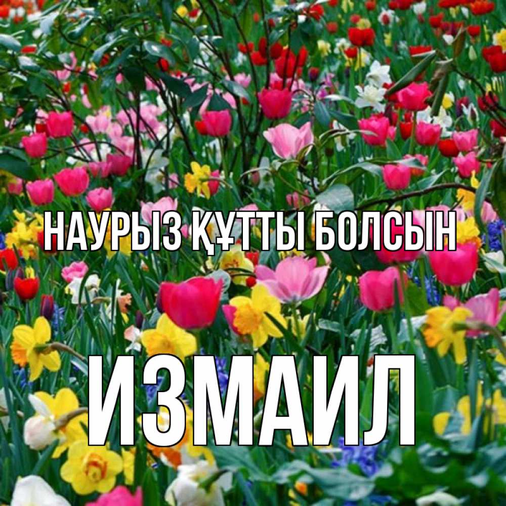 Открытка на каждый день с именем, Измаил Наурыз құтты болсын с наурызом поздравления для женщины Прикольная открытка с пожеланием онлайн скачать бесплатно 